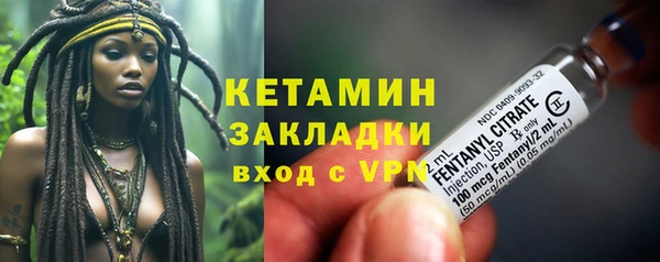 прущие грибы Арсеньев
