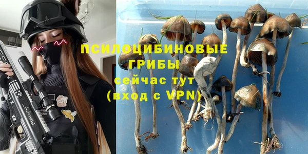 прущие грибы Арсеньев