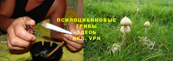 тгк Алексеевка
