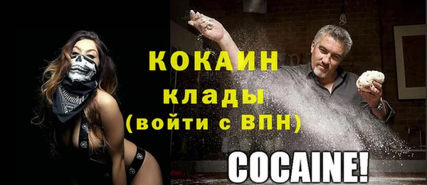 дживик Алзамай